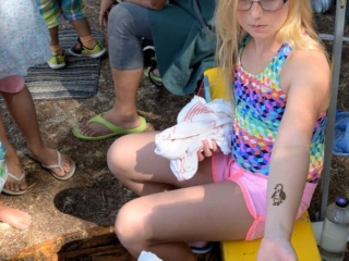 2017 Festival Photo